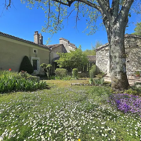 Magnifique Ferme Renovee Et Sa Piscine Ecologique - 15 Personnes - 7 Holiday home Touffailles