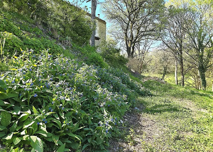 Magnifique Ferme Renovee Et Sa Piscine Ecologique - 15 Personnes - 7 Holiday home *