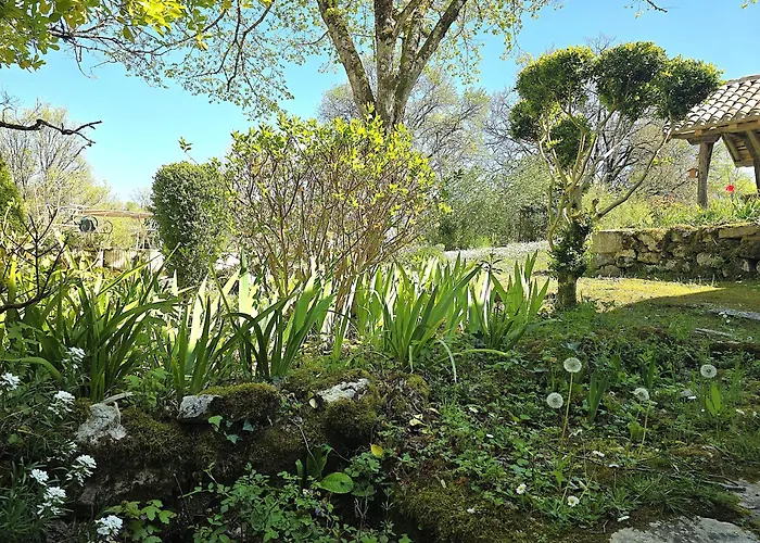 Magnifique Ferme Renovee Et Sa Piscine Ecologique - 15 Personnes - 7 Holiday home Touffailles