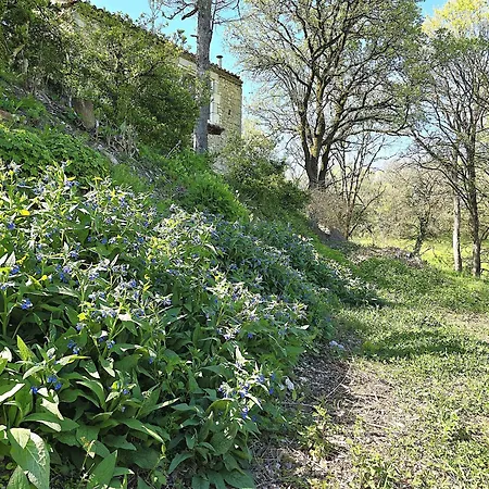 Magnifique Ferme Rénovée Et Sa Piscine écologique - 15 Personnes - 7 Hébergement de vacances *