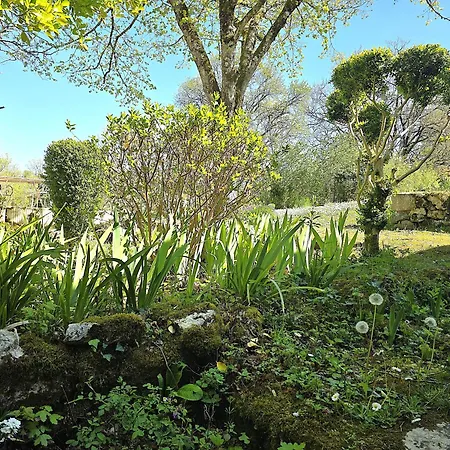 Magnifique Ferme Renovee Et Sa Piscine Ecologique - 15 Personnes - 7 別荘 Touffailles