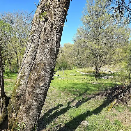 別荘 Magnifique Ferme Renovee Et Sa Piscine Ecologique - 15 Personnes - 7 Touffailles
